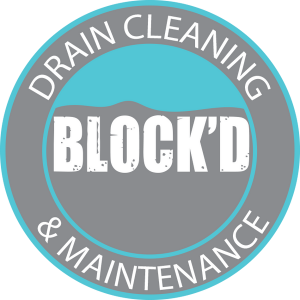 block-d logo